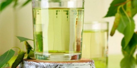 Kako zamrznuti brezov sok u plastičnim bocama